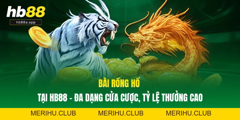 Bài Rồng Hổ Tại HB88 - Đa Dạng Cửa Cược, Tỷ Lệ Thưởng Cao