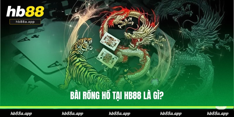 Bài Rồng Hổ Tại HB88 - Đa Dạng Cửa Cược, Tỷ Lệ Thưởng Cao
