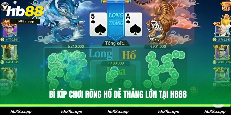 Bài Rồng Hổ Tại HB88 - Đa Dạng Cửa Cược, Tỷ Lệ Thưởng Cao