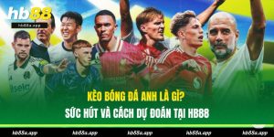 Thể Thao HB88 - Thỏa Mãn Đam Mê, Tham Gia Nhiều Kèo Ngon