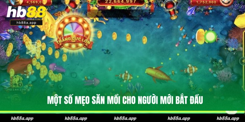 Bắn Cá Miễn Phí - Trải Nghiệm Đại Dương Thú Vị Tại HB88