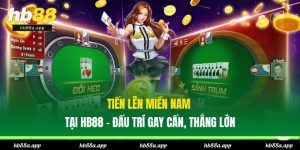 Game Bài HB88 - Bàn Chơi 3D Ấn Tượng, Nhiều Trò Chơi Hot