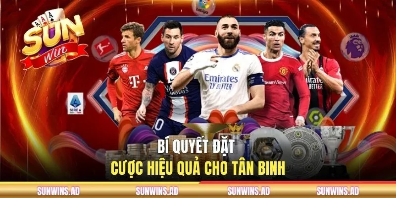 Kèo Châu Âu SUNWIN - Cách Đọc Tỷ Lệ Và Chọn Cửa Chuẩn Xác