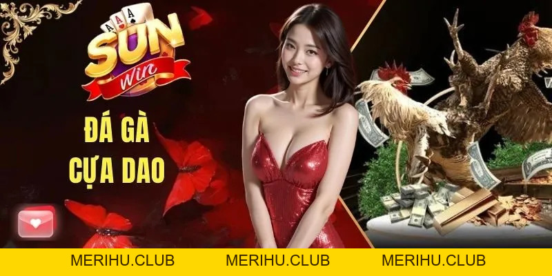 Đá Gà SUNWIN - Chuyên Mục Giải Trí Số 1 Cho Cộng Đồng Kê Thủ
