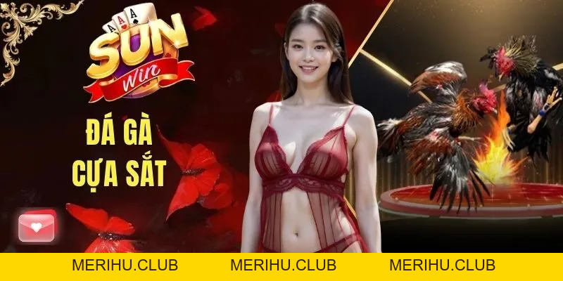 Đá Gà SUNWIN - Chuyên Mục Giải Trí Số 1 Cho Cộng Đồng Kê Thủ