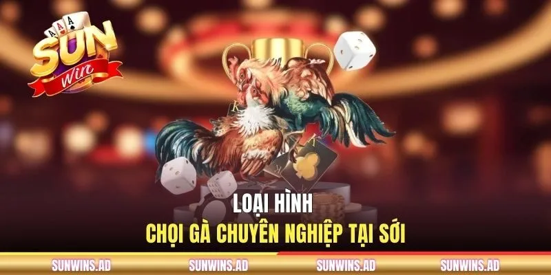 Đá Gà SUNWIN - Chuyên Mục Giải Trí Số 1 Cho Cộng Đồng Kê Thủ