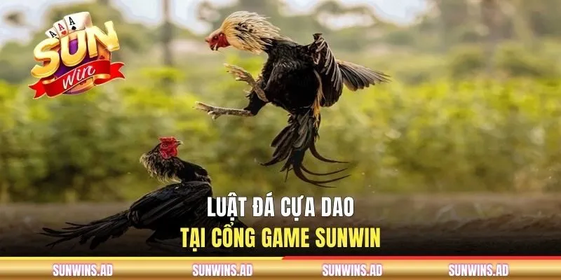 Thăng Hoa Cùng Đá Gà Cựa Dao Tại Cổng Game SUNWIN