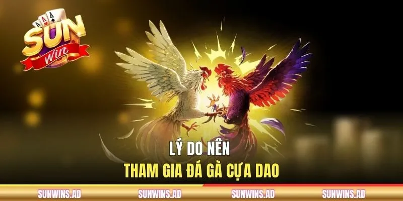 Thăng Hoa Cùng Đá Gà Cựa Dao Tại Cổng Game SUNWIN
