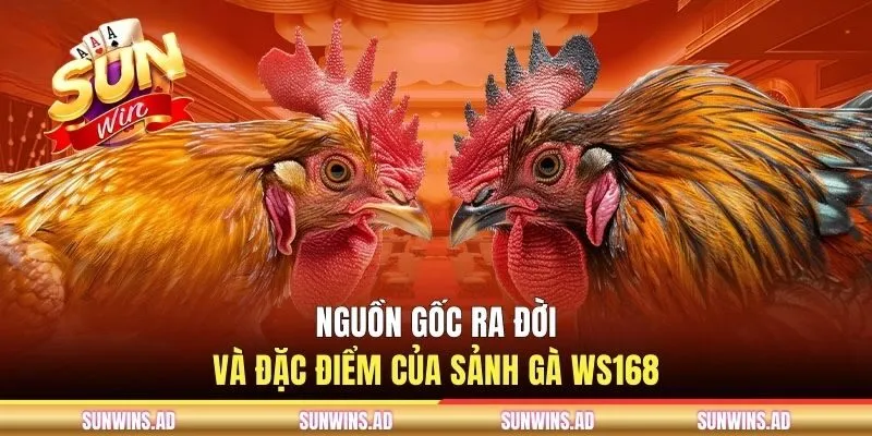 Sảnh Gà WS168 - Nền Tảng Live Stream Chọi Kê Độc Quyền