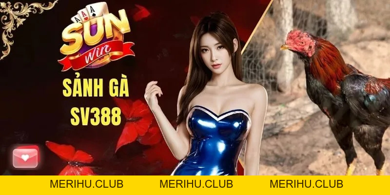 Đá Gà SUNWIN - Chuyên Mục Giải Trí Số 1 Cho Cộng Đồng Kê Thủ