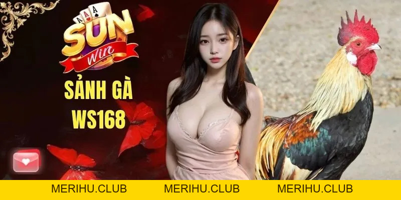 Đá Gà SUNWIN - Chuyên Mục Giải Trí Số 1 Cho Cộng Đồng Kê Thủ