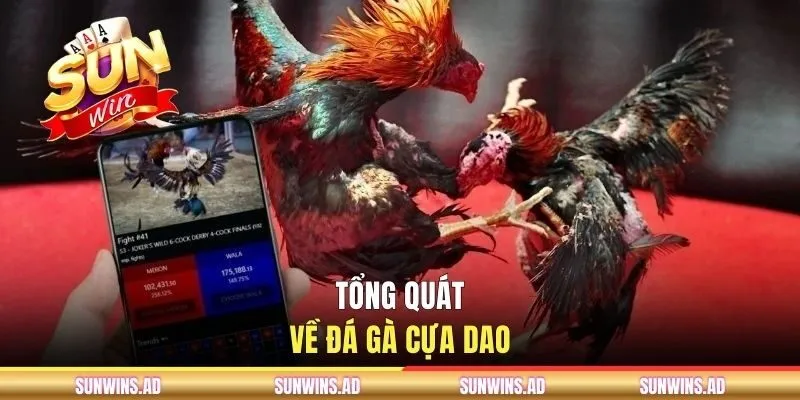 Thăng Hoa Cùng Đá Gà Cựa Dao Tại Cổng Game SUNWIN