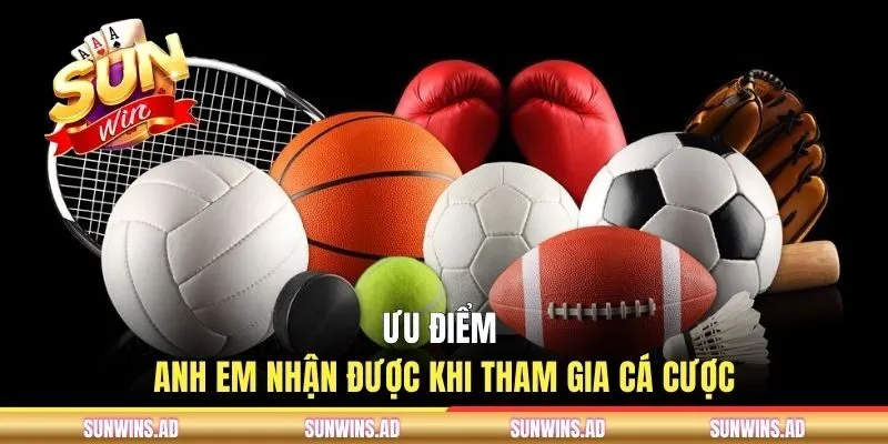BTI Sports SUNWIN | Sảnh Kèo Cược Thể Thao Uy Tín 2026